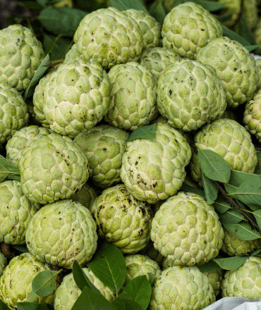 fresh fruits & vegetables (10)