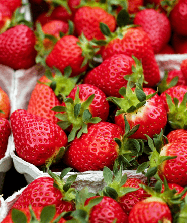 fresh fruits & vegetables (12)