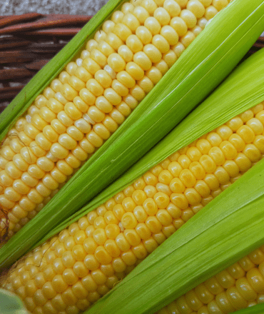 fresh fruits & vegetables (2)