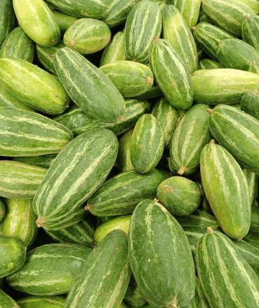 fresh fruits & vegetables (5)