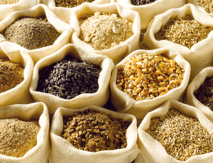 global import export services from pune (4)