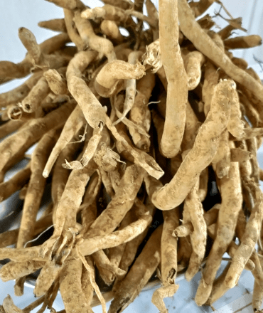 organic herbal products – pure, fresh & effective (2)