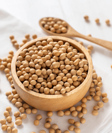 premium quality pulses & grains (2)