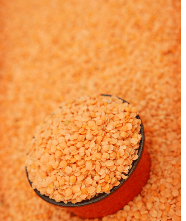 premium quality pulses & grains (4)