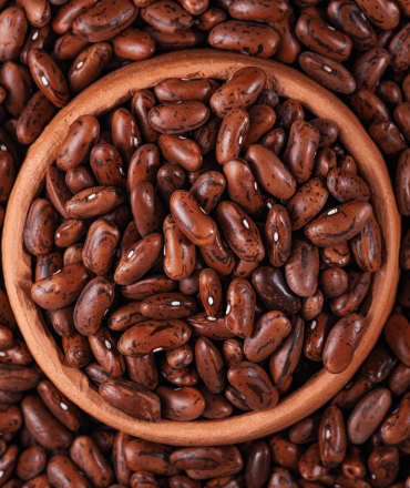 premium quality pulses & grains (6)