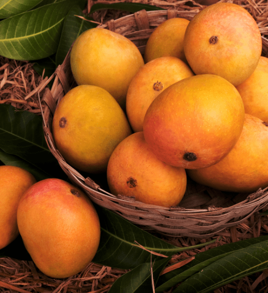 trusted import export solutions from pune, (1)