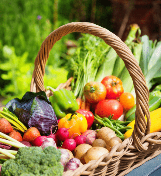 trusted import export solutions from pune, (4)